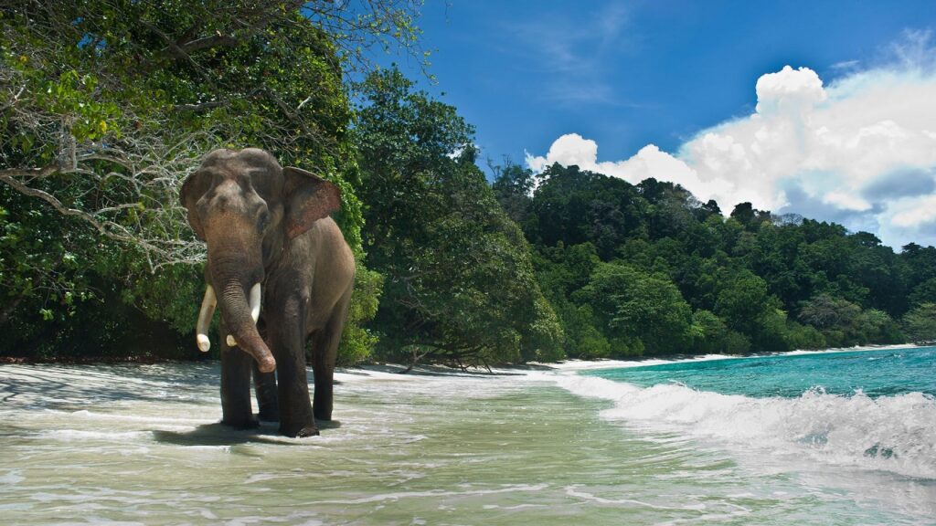 10 Best Places to visit in Andaman